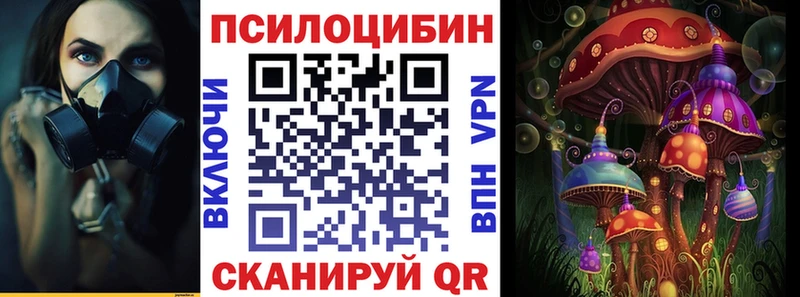 наркота  Архангельск  Галлюциногенные грибы Cubensis 